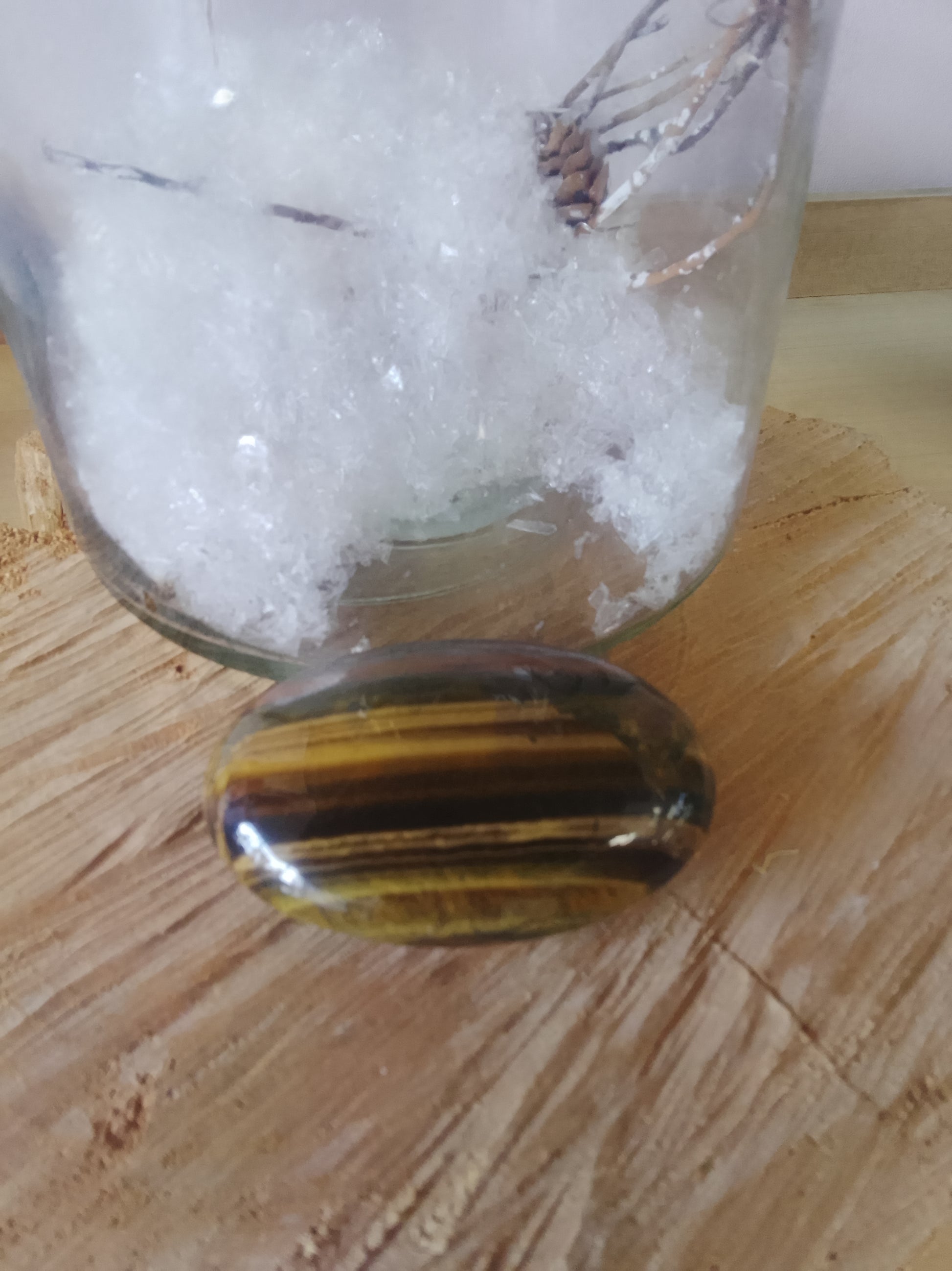 Gros Galet Œil de tigre